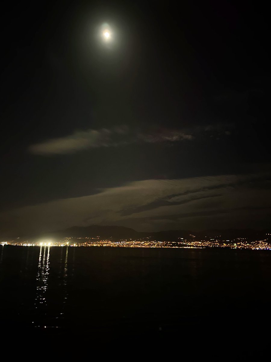 the_olla's tweet photo. Hot summer nights https://t.co/8ltKvV9TmC