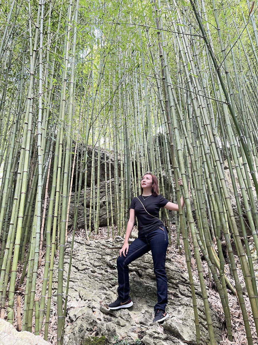 ArbyArmy's tweet photo. Bamboo forest #Namjooning #ARMYSelcaDay https://t.co/5C6K7KcwHX