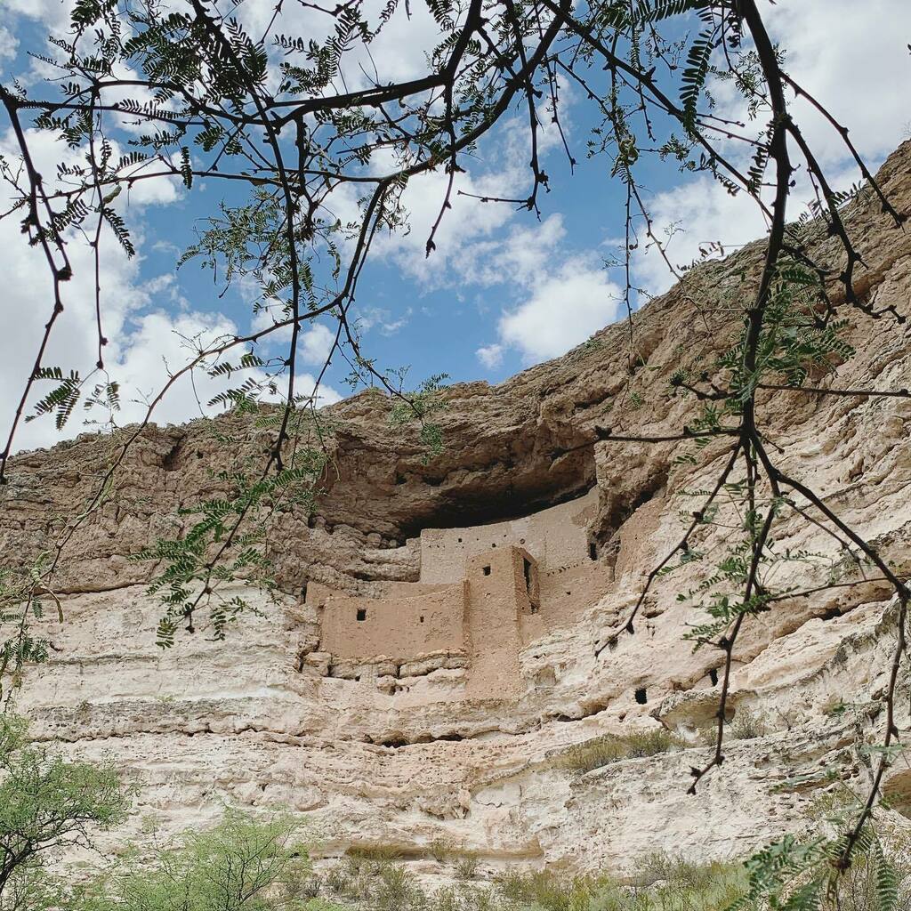 sam_whit22's tweet photo. Montezuma Castle and Tuzigoot National Monuments

#exploringarizona #arizonagram #arizonalife #lovewhereyoulive #azblogger #visitarizona #arizonaliving #touristathome #montezumacastle #tuzigoot #findyourpark https://t.co/sLM3a05Gco https://t.co/o4YbBwqzGE