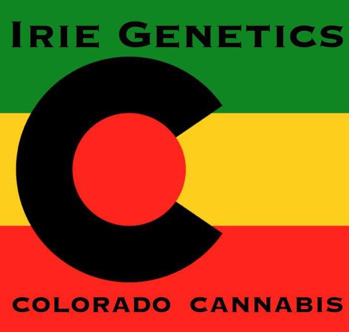 MrGreenGeneSeed's tweet image. @IrieGenetics RESTOCK IS HERE, Including NEW STRAINS!!!!!

Shop now at mrgreengene.com/shop/