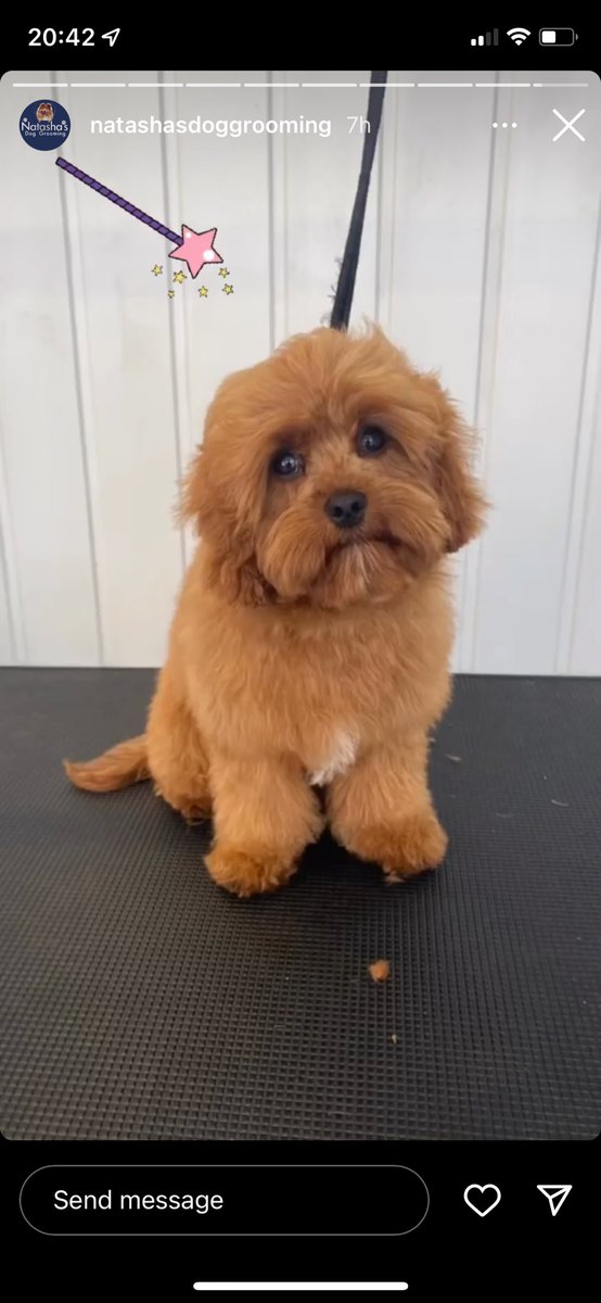 Laura Edwards tweet media