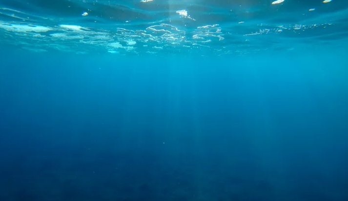 Chelsea_Tech's tweet image. Chelsea Technologies’ new portable active fluorometry system, LabSTAF, monitors phytoplankton using the latest in STAF technology and combines an unparalleled sensitivity with a wide dynamic range. Read more at chelsea.co.uk/from-blooms-to… #phytoplankton #scienceandenvironment