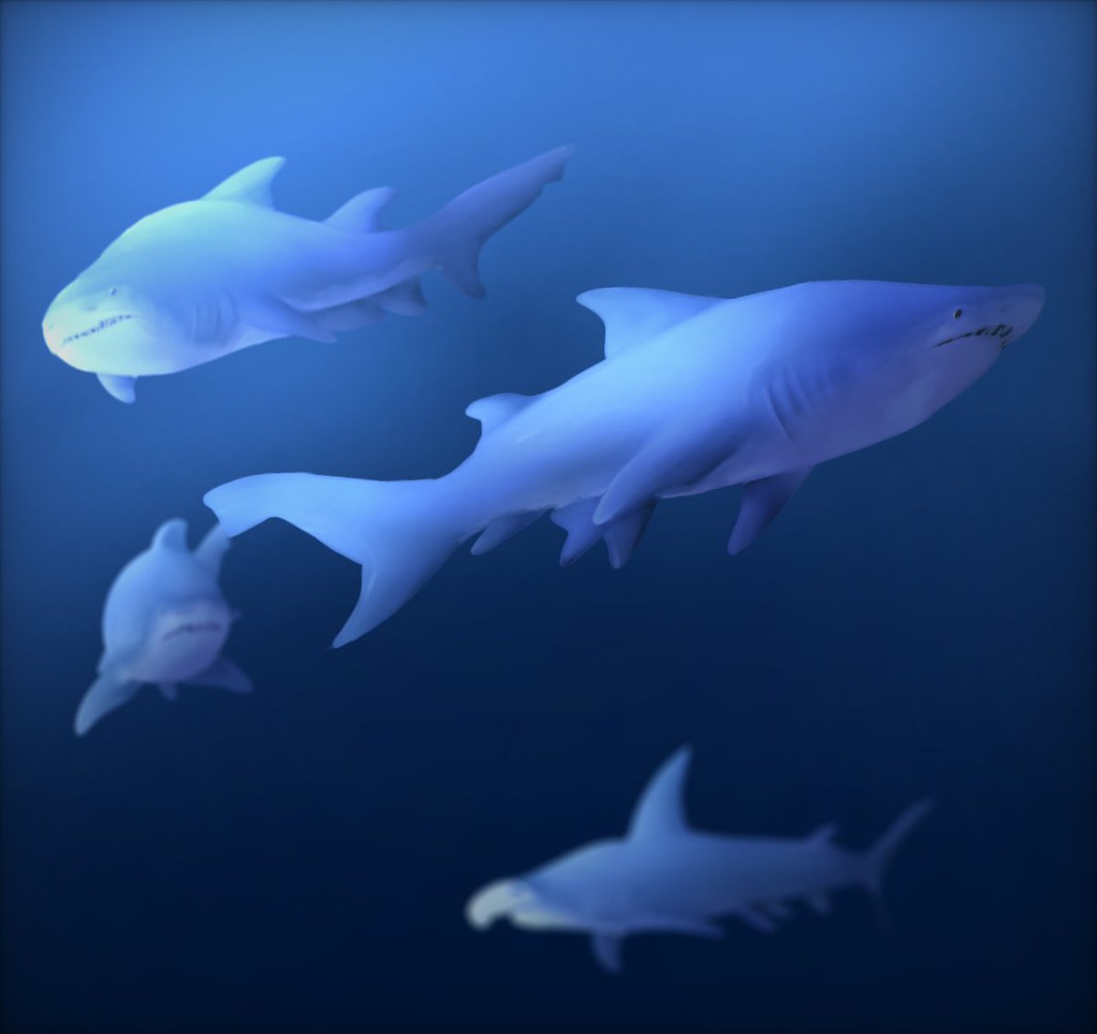YataShark's tweet photo. Shark anatomy practice 𒅌
#digitalart #digitaldrawing #sharks #sharklover #sharkdrawing #shark https://t.co/tchYQL16J1