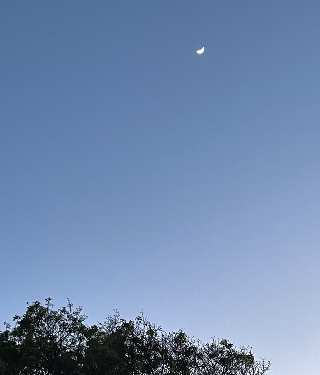SSandraytv's tweet photo. Y ver esa Luna, grandeza 🌙 https://t.co/V4hgiLQfO6