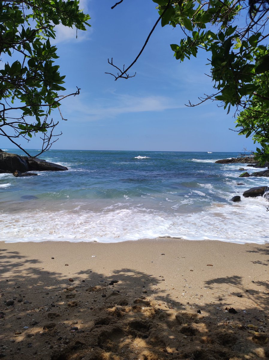 América Bonilla tweet media