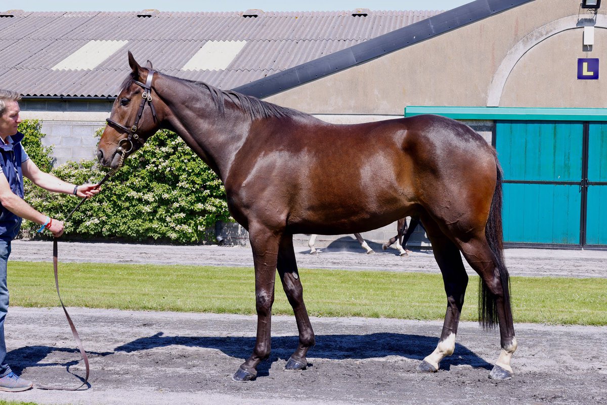 Peter Buchanan tweet media