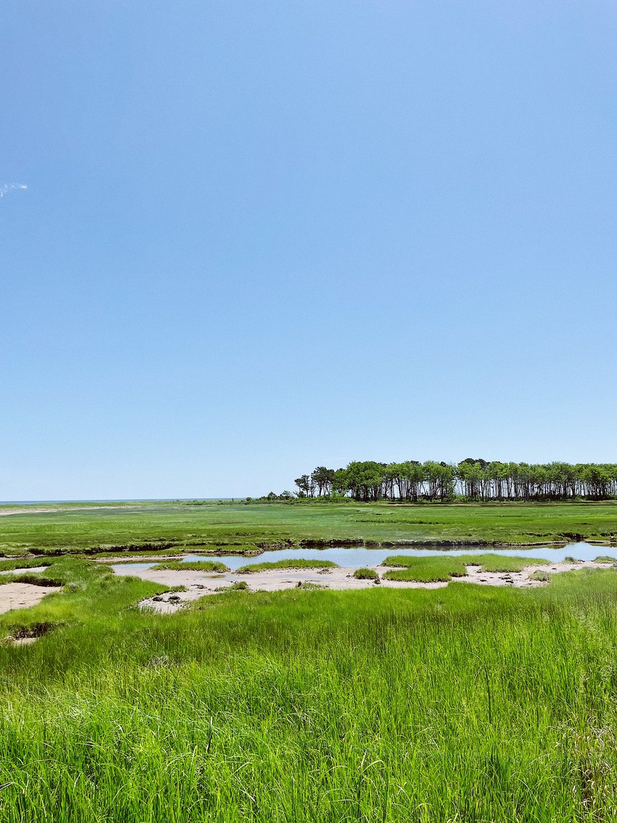 Logan Sweet tweet media