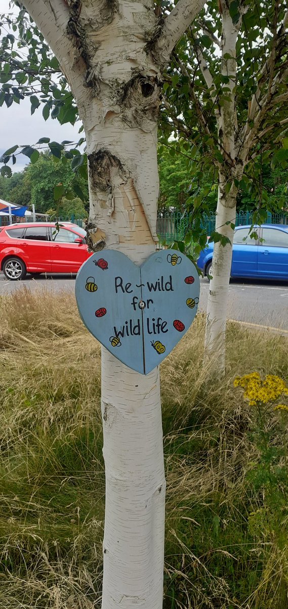 ChurchEco's tweet photo. Did you know that by re wilding just a small area you can help bee habitats to flourish just by letting the grass grow? Very little effort is required and it will make a big difference to a wide range of animals and wildlife! @blue_campaign1 @EcoSchools @witton_walkce https://t.co/3gv2xZyt0N