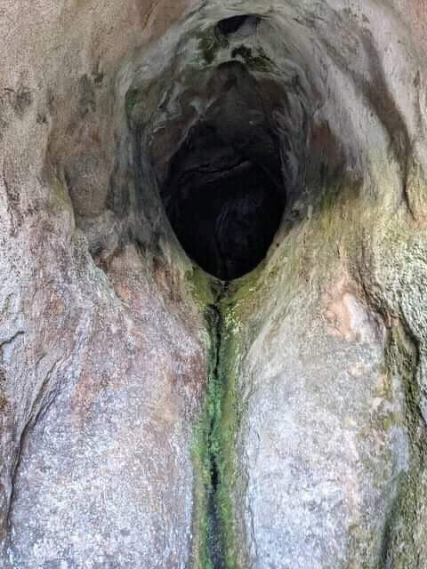 Africa Facts Zone tweet media