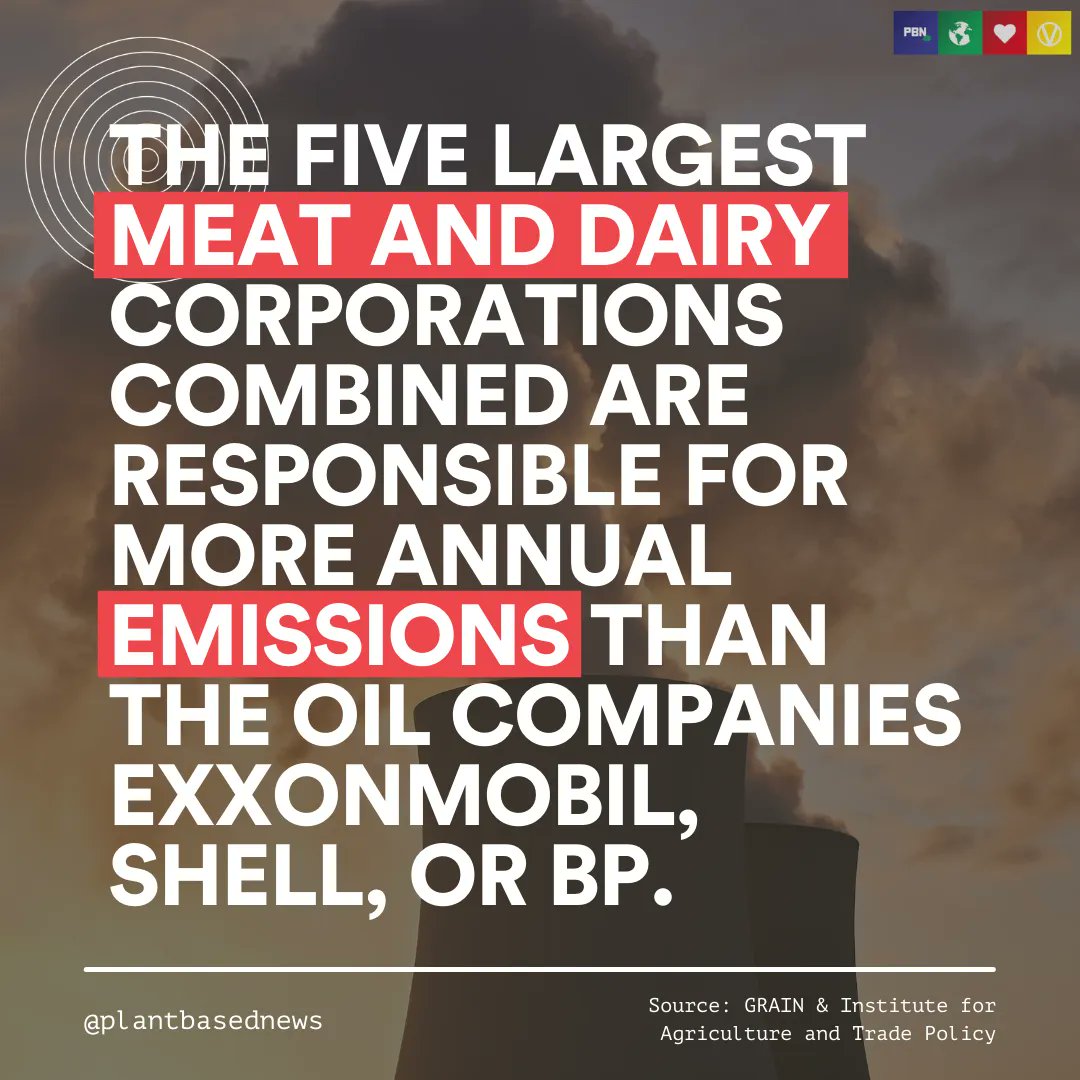 PlantBasedNews's tweet photo. Why do you think it is that government policy seems to focus primarily on the transportation and energy sectors as opposed to animal agriculture? 

Source: https://t.co/bJ7qg7Ma4N https://t.co/LnQ2aXdfUL