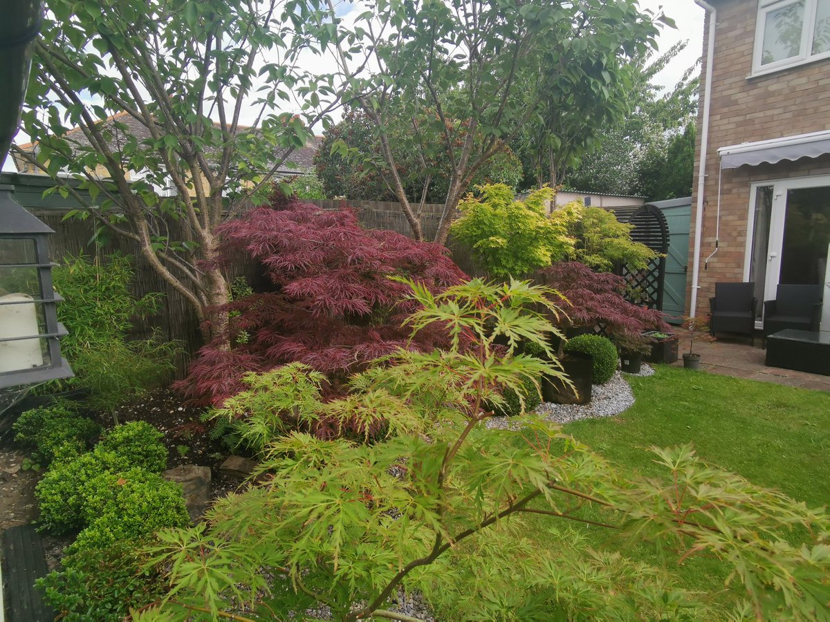 #GardensHour Japanese Garden