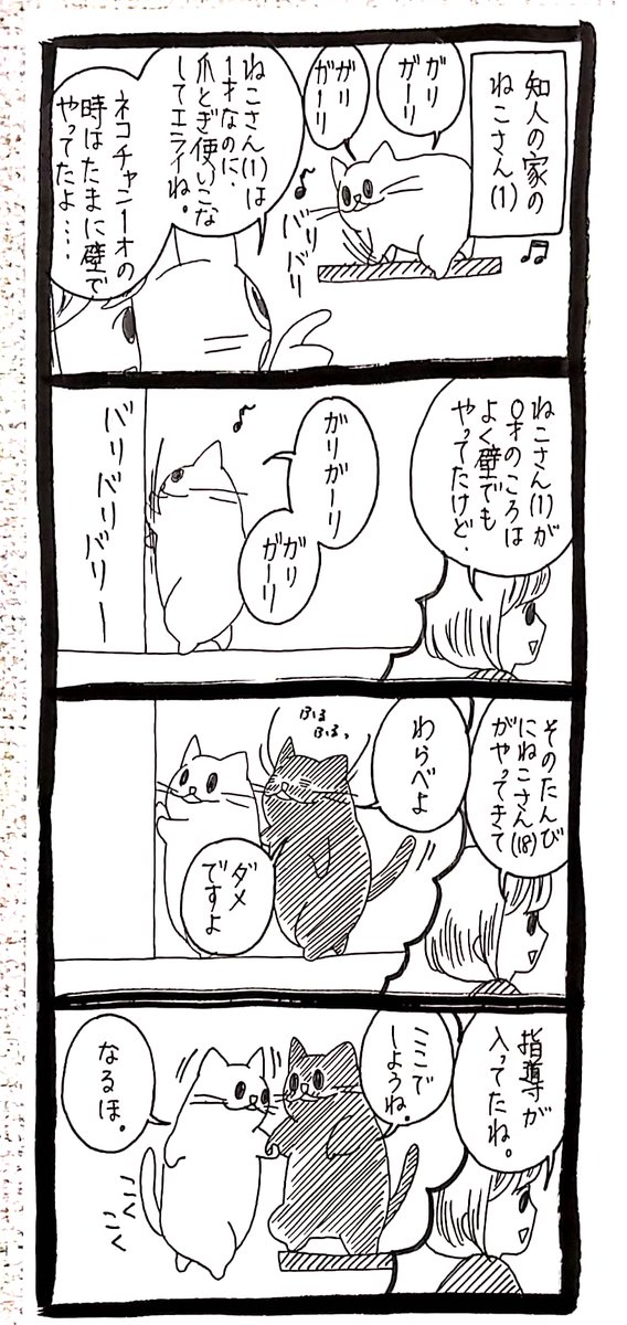 【ねこさんたち】指導 