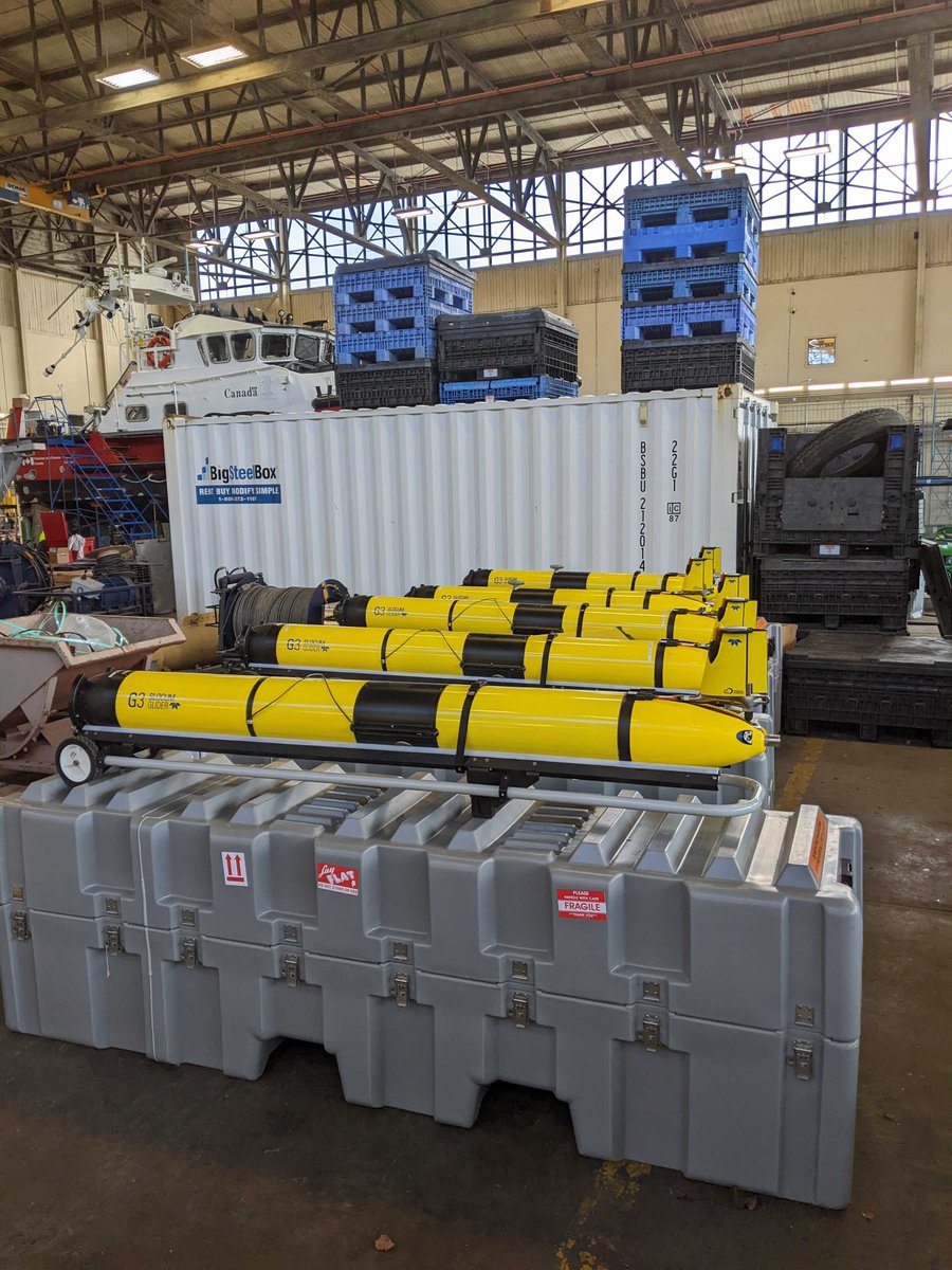 Our new gliders are all named after famous robots:
Maria-997
Bumblebee-998
K-999
Hal-1002
Marvin-1003
(<a href="/TeledyneMarine/">TeledyneMarine</a> kept gliders number 1000 and 1001.)
Our five new gliders join BB, Eva, Rosie, Wall-e, and Mike in our fleet of ten. That's a lot of gliders!