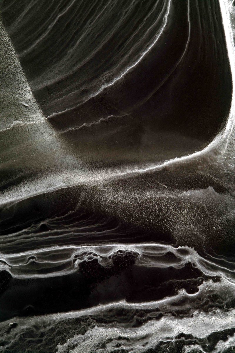 archillect's tweet image. 