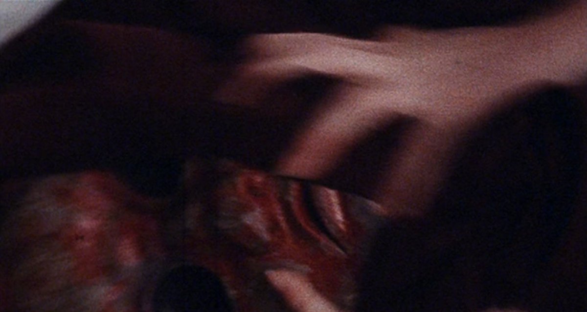 Heyy it's #MovieMonday 🙌

The Curse/Noroi (ノロイ) Is a found-footage ghost story done right. With clips of home videos, local news, reality shows, and documentary all serving one narrative, you can't help but believe in the curse at least a little.
#HorrorMovies #horror #movies