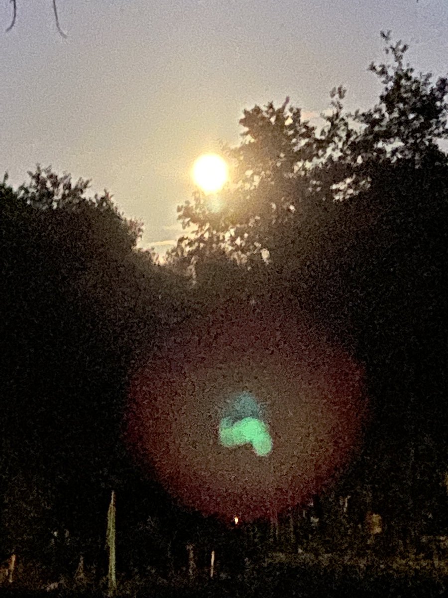 Wat gek toch! Je zou bijna geloven in dat er meer is tussen hemel en aarde. Zo genomen ‘s avonds laat