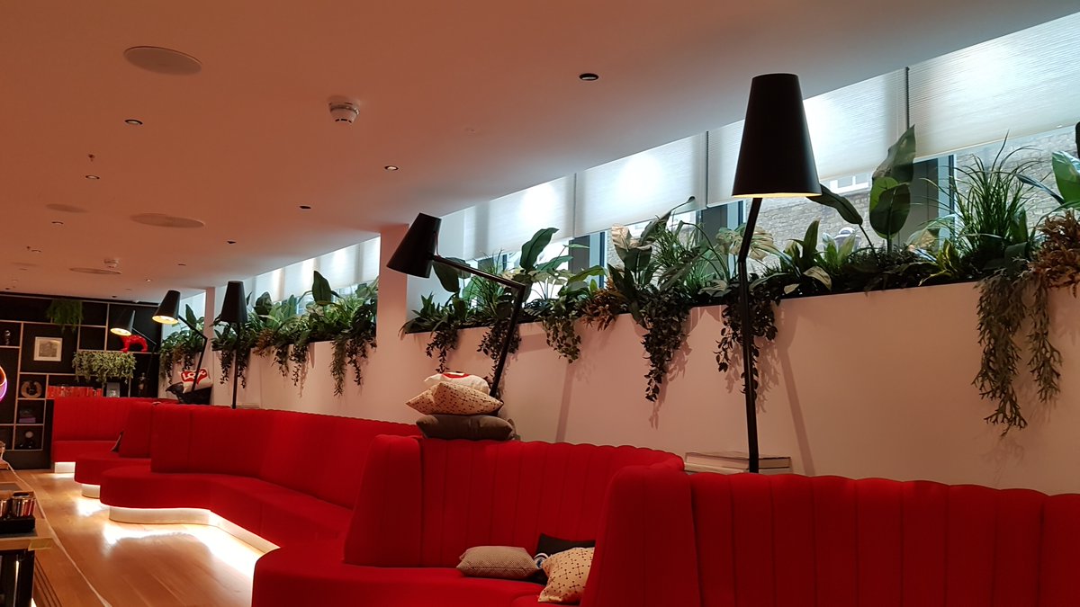 aztecplantsuk's tweet photo. Just a couple of initial pictures of our work in London's newest hotel, opened today.  #london #plants #biophilia  Professional photos to follow.  https://t.co/gXvhYAPhh8 https://t.co/DSP8sQgYdv