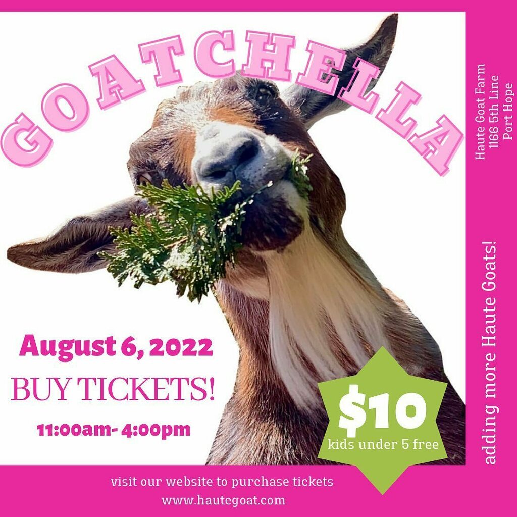 Are you coming to GOATCHELLA 2022?

It's going to be a great day!

We are going to have WAGON RIDES around the farm. You can get all the vibes of the event as you relax and enjoy a ride around the spectacular Haute Goat property. 
See the 1st tee of our … instagr.am/p/CfmrP5COVf8/