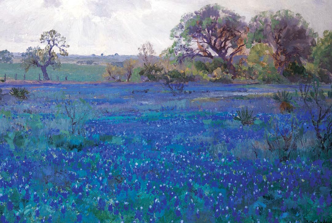 Museo Soumaya On Twitter Altramuces O Lupinos Azules De Texas En