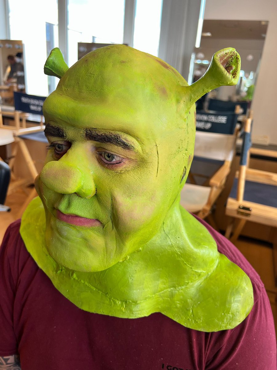 shellylee100's tweet image. So that was a busy week!! Make up students  provided the make up for the performance of Shrek by @TOADSSMC @PrincessTorquay @sdcollege