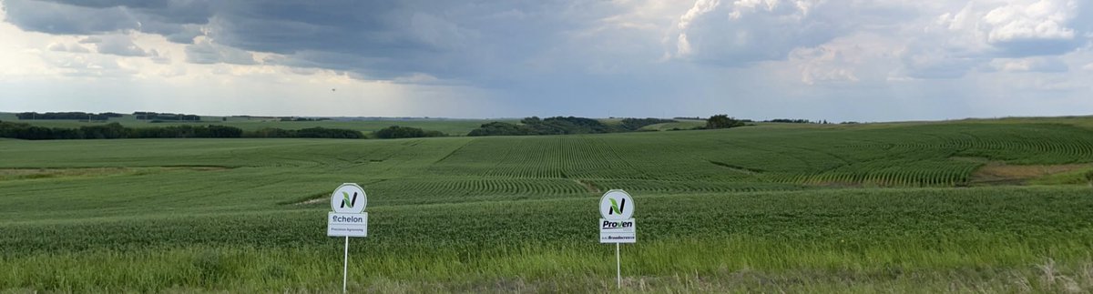 Fawn Ockerman (@fawnockerman) on Twitter photo Careful this AAC Broadacres trial will knock your boots off <a href="/NutrienAg_NSK/">Nutrien Ag Solutions - Northern Saskatchewan</a> <a href="/HaeuslerKyle/">Kyle Haeusler</a> <a href="/Brett_Kuhn_/">Brett Kuhn</a> <a href="/courtsdallyn/">Courtney Dallyn</a> #bootinahole Careful this AAC Broadacres trial will knock your boots off <a href="/NutrienAg_NSK/">Nutrien Ag Solutions - Northern Saskatchewan</a> <a href="/HaeuslerKyle/">Kyle Haeusler</a> <a href="/Brett_Kuhn_/">Brett Kuhn</a> <a href="/courtsdallyn/">Courtney Dallyn</a> #bootinahole