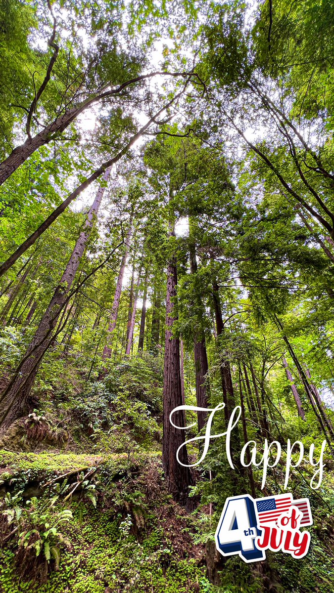 LofiRips's tweet image. Hope everyone is having a great day!

Happy 4th of July! 🇺🇸 Stay safe tonight ❤️