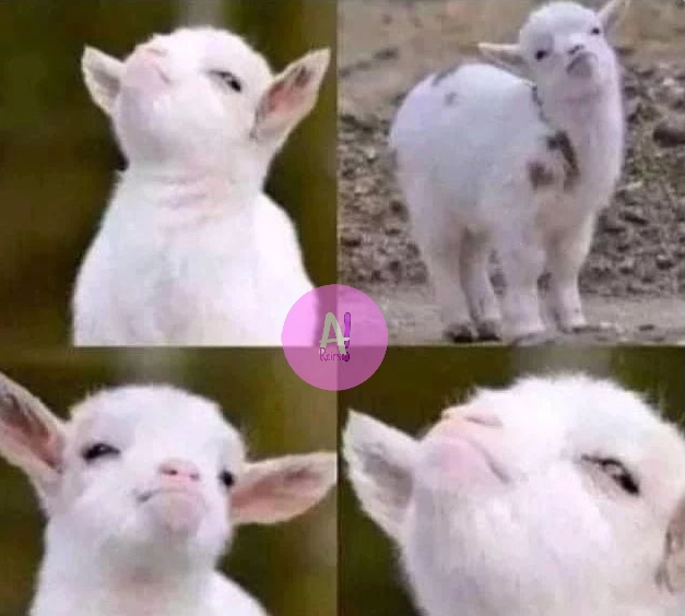 Cuando no te creyeron pero al final tenías toda la razón