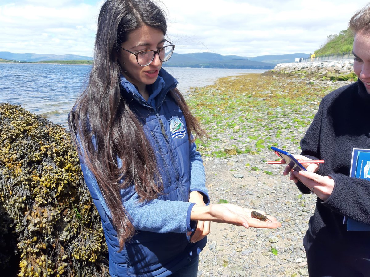 explorersedu's tweet photo. We were also on the shore in Bantry, for Teacher Training with @WCEC1 , looking forward to day 2 already , for more @MarineInst Exploring Irelands Seashore through literacy, numeracy, science, geography and art #keepexploring https://t.co/jVAA5pBUGt
