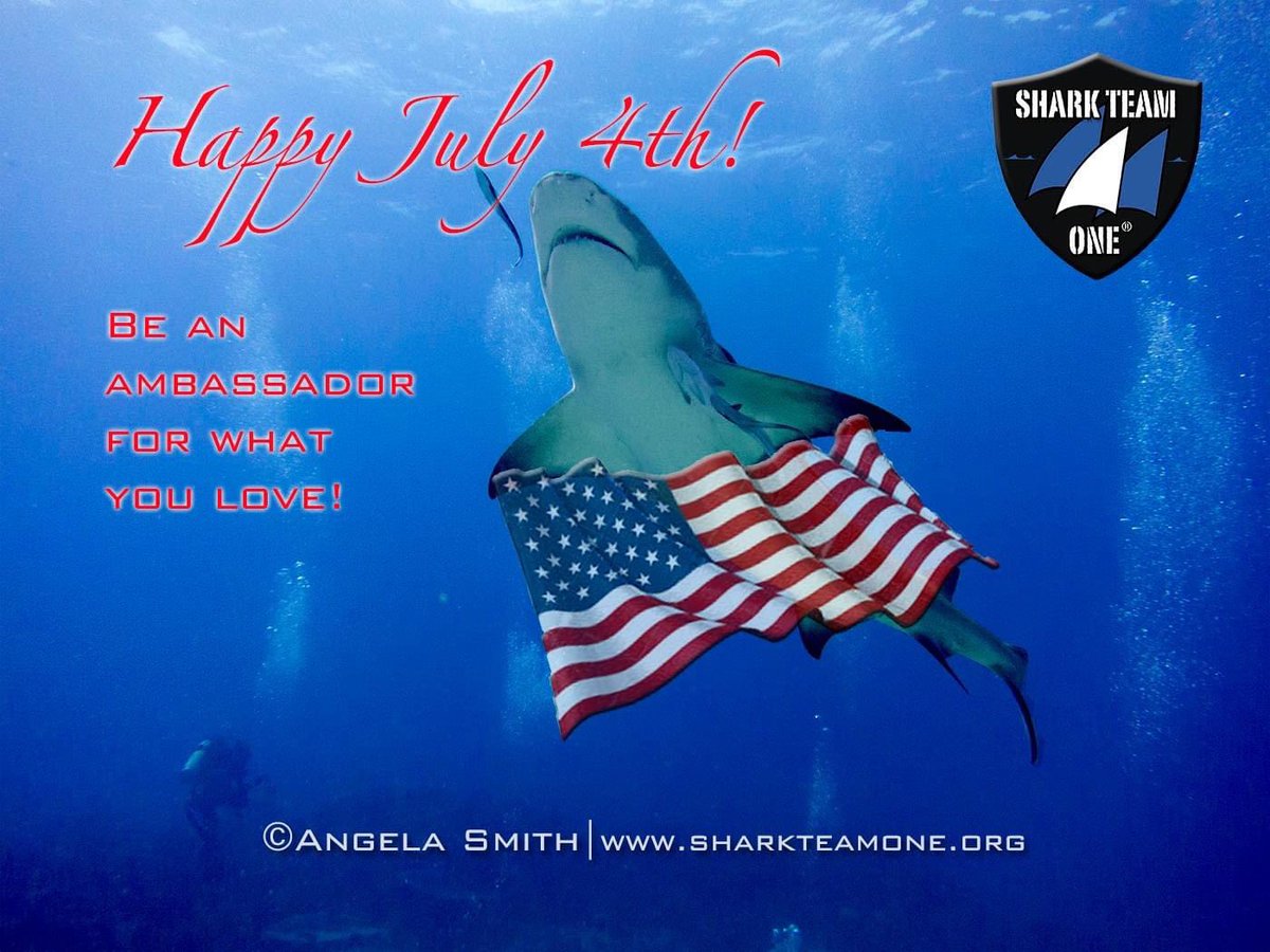 Happy July 4th to all our friends, family, volunteers, supporters, partners &amp; sponsors! Thinking of you all &amp; thanks so much for your support! #conservation #SharkTeamOne