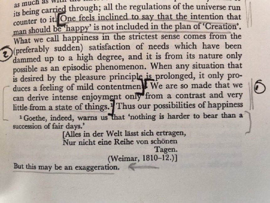 for 
#theloveoffootnotes:

Sigmund Freud, in a footnote of “Civilization and its Discontents:”

“Goethe, indeed, warns us that “nothing is harder to bear than a succession of fair days.” 

“But this,” Freud comments, “may be an exaggeration