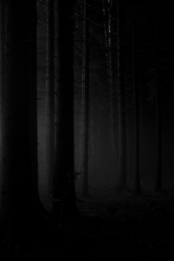 iiccee77's tweet photo. así es el bosque de Eustopia cuándo cae la noche en días nublados. https://t.co/b2hHBbKIh1