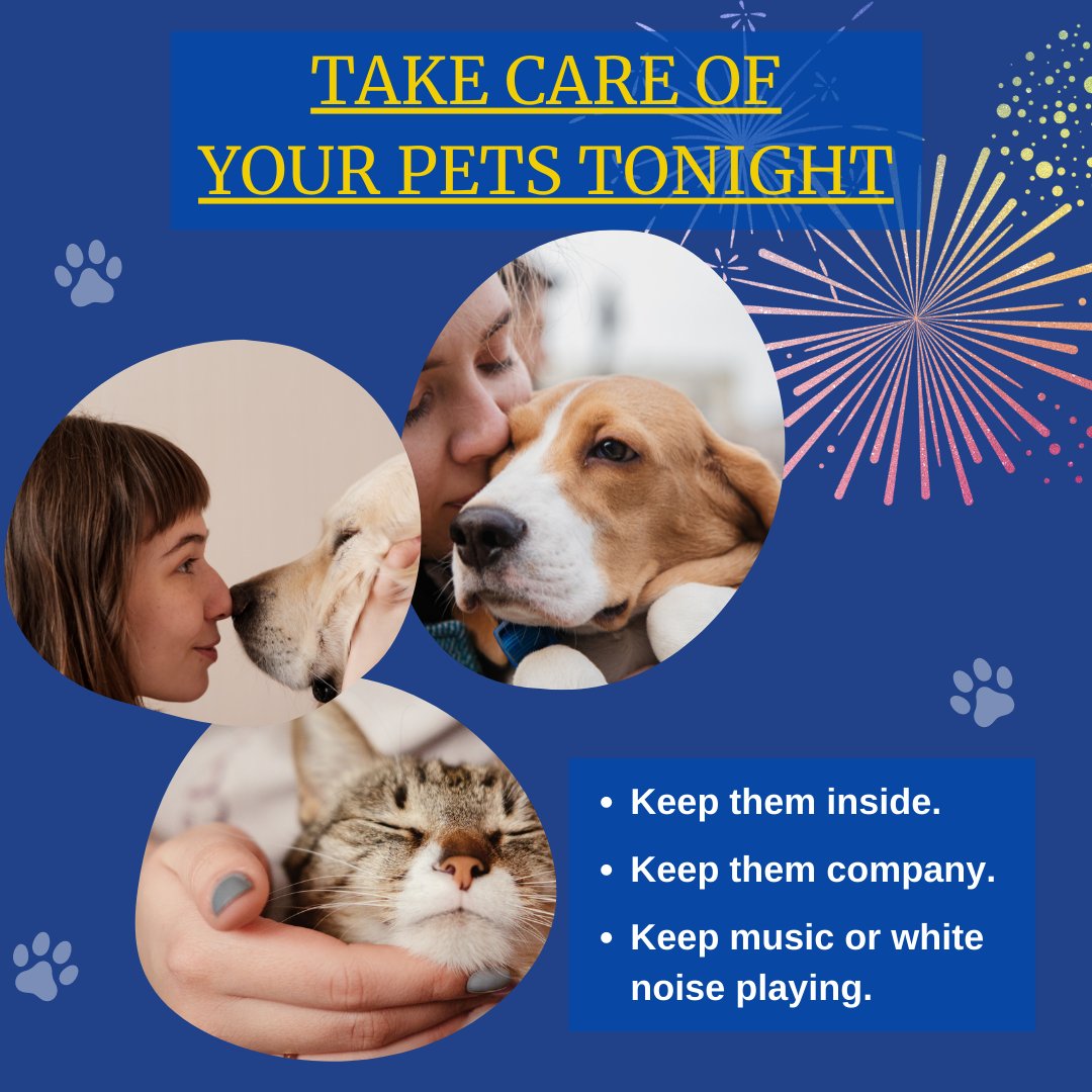 Remember that the celebrations tonight can make our animal friends very anxious.

Please make sure you're doing what you can to keep them calm and relaxed throughout the evening.