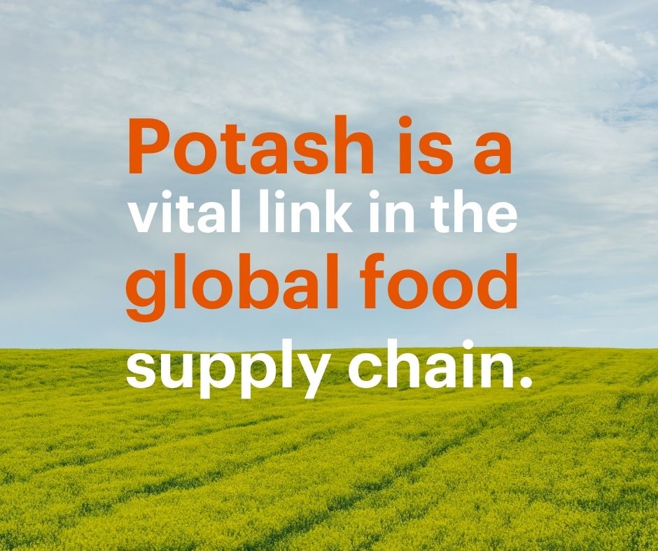 BHP on Twitter "Potash As an essential nutrient for plant growth