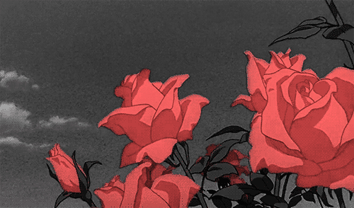 Eɳε ɦα૨µҡσ tweet media