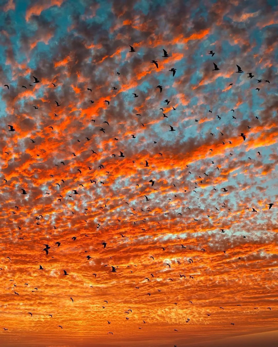qué fantasía de atardecer