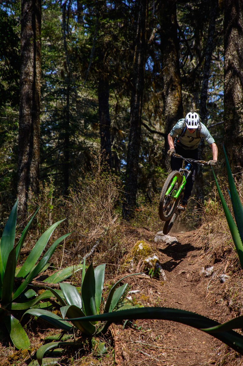 oaxacabikeexpe1's tweet photo. Oaxaca Mountain Bike Tours #mexico #mtb #mountainbike #mtbtour https://t.co/lpN9UDXjhB
