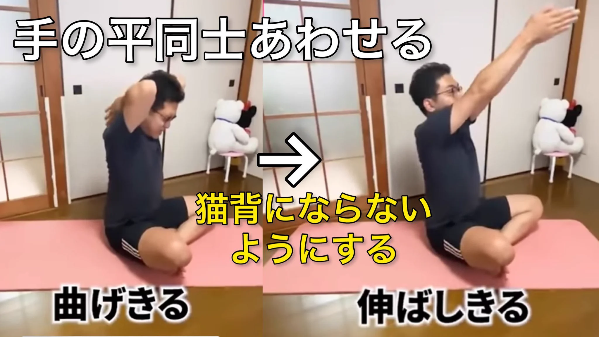 即効性抜群！猫背や巻き肩に悩んでいる方必見『肩甲骨ストレッチ』！♪