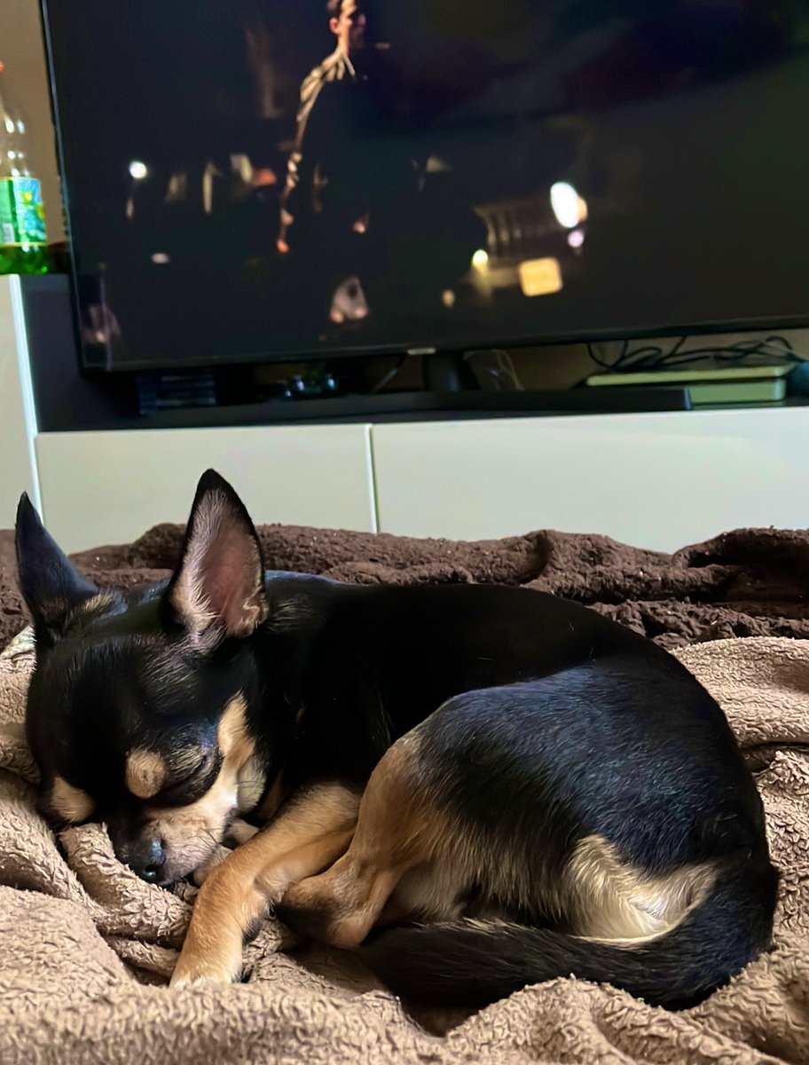 золотая женщина tweet media