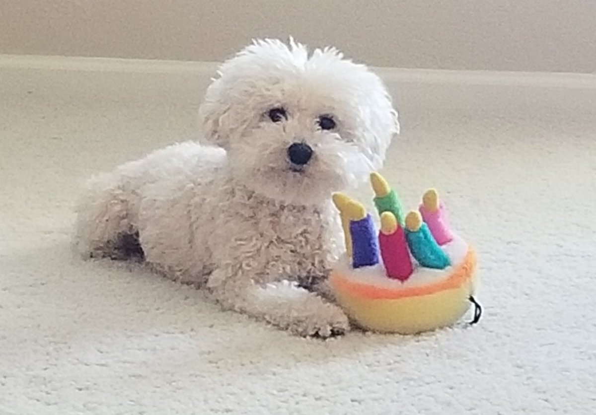 Happy Birthday to our little man Sky! He’s our 4th of July baby! #LoveHimAsBigAsTheSky 🥳 🎉 🎇