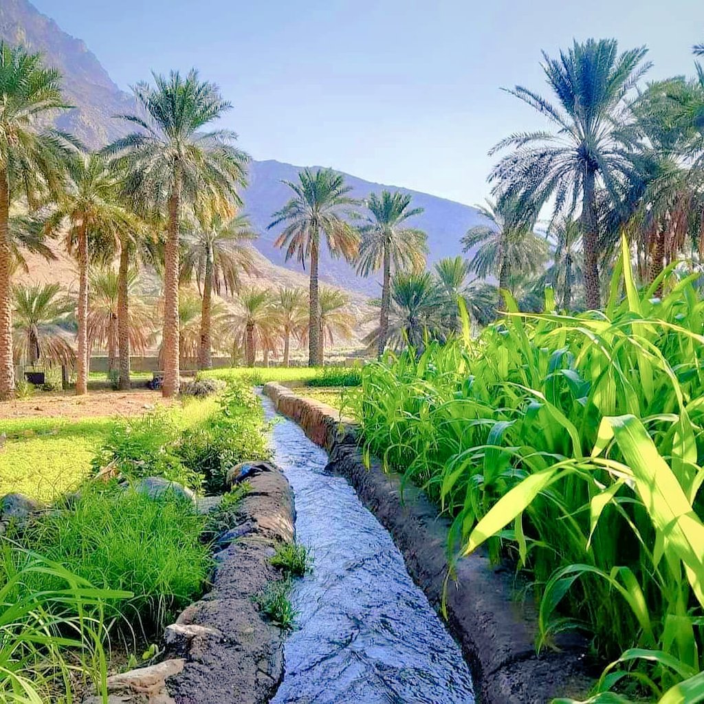 "والطير سبَّح والسماء تبسمت
يارب صبحاً مشرقاً وجميلا"