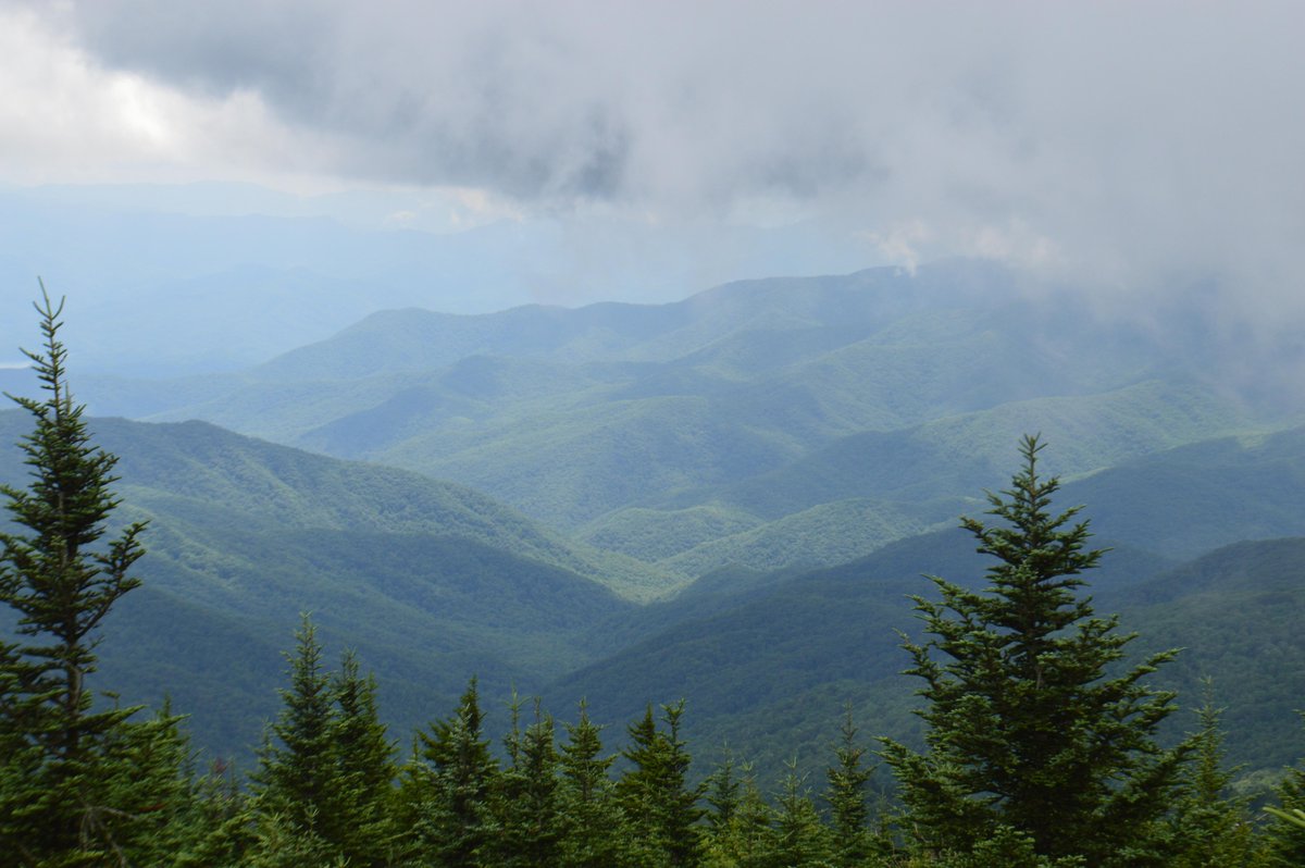 TheNatureTweets's tweet photo. Great Smoky Mountains https://t.co/5cnJFcp2FL https://t.co/AHMjZrmm4w https://t.co/ec2q6M2QuG