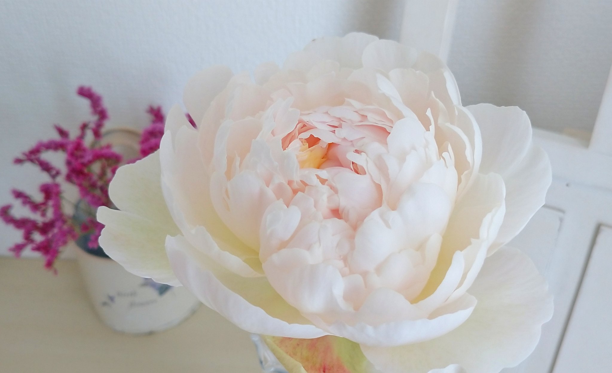 Minnflower 9 29 てしごと市つどーむ ピオニー 和名芍薬 香りも好きです こんなに存在感あるのに花言葉は慎ましさ なんですって 芍薬見習って今週は慎ましく行きたい 希望 なってもう火曜日だけど Tlを花でいっぱいにしよう 花のある暮らし