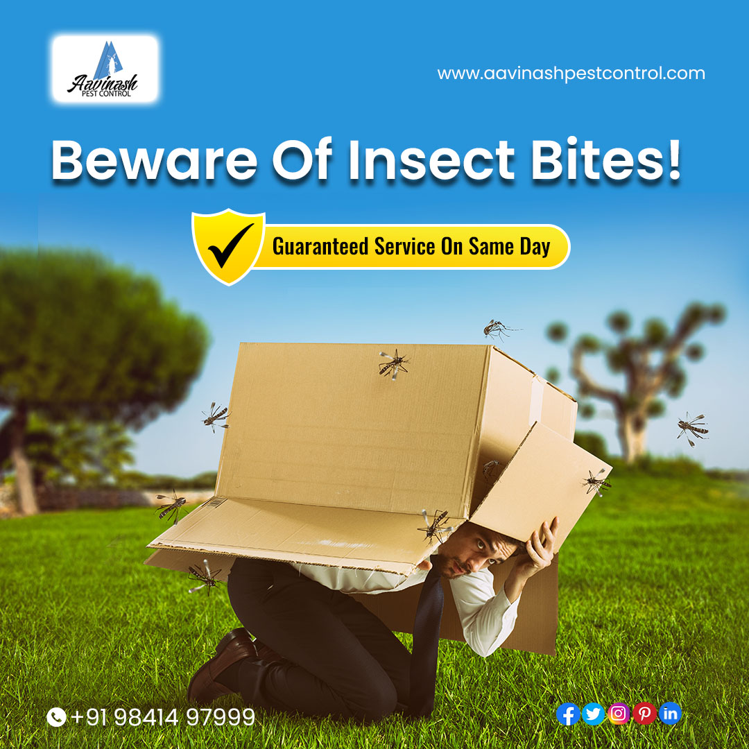 AavinashPest's tweet image. Quality pest control services in Chennai. Pest control for cockroaches, bed bugs, flies, ants, rats, termite, and more. Our team of experts are ready to help you solve your pest problem.

📲 +91 98414 97999

🌍 aavinashpestcontrol.com

#QualityPestControlServicesChennai