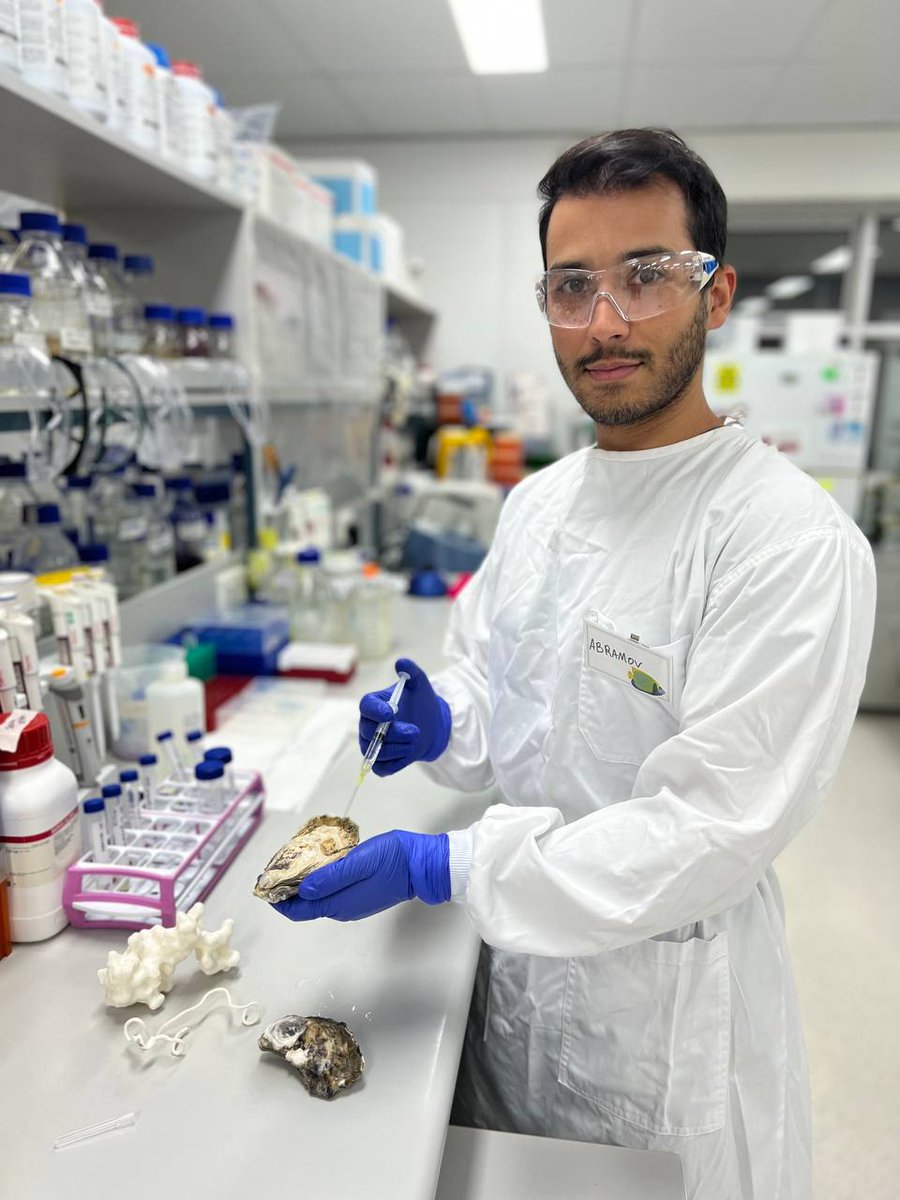 CBioinnovation's tweet photo. New study by our #aquaculture experts @Tom_Abr @DrScottCummins and @ElizurAbigail and team exploring TCAP #peptide and its ability to combat #stress in #oysters #marine #fauna🐙🦀🦈🦪
Potential use case in humans?  #StressLess
@usceduau @ResearchUSC_AU 
👇
https://t.co/zdBgtioUDj https://t.co/r6ejOjVW0E