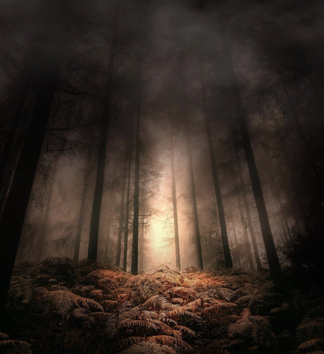 Good morning Tuesday Dear Twitter Friends