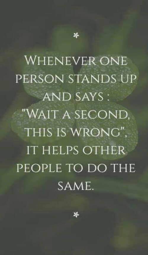 Lilescedae's tweet photo. 🙌🌊Yep. The only way evil prevails is when good people stand by and do nothing. #riseupforus #RESIST #ResistanceUnited #proudresister #StrongerTogether https://t.co/274xaQNVap
