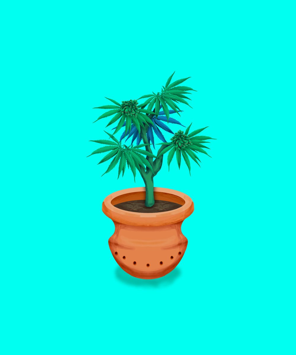 cannafarmnft's tweet photo. WHITELIST GIVEAWAY 🇺🇸 

To enter: 
- Follow: @cannafarmclub 
- Like + RT
- Tag 3 friends 

Available WL spots = 5

Giveaway ends soon ⏰ https://t.co/o02NIRdWYu