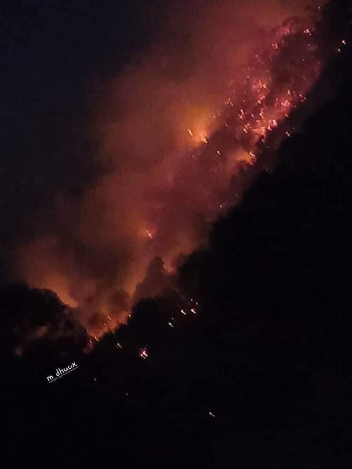 confuzedCat's tweet image. #SaveTheEcosystem #savegarcidh #savesanaag #prayforsanaag #somaliaonfire