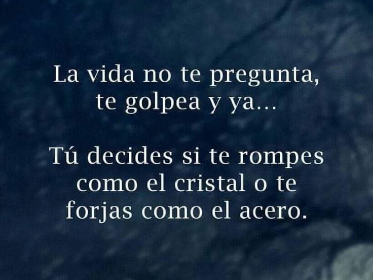 Me quedo con el acero, sin duda.