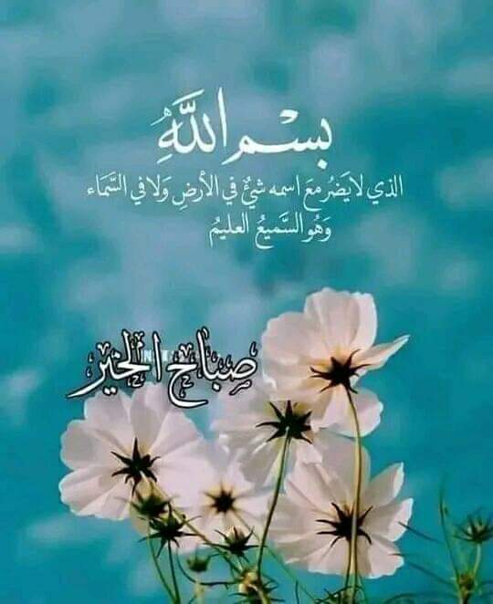 Ammar22 tweet media